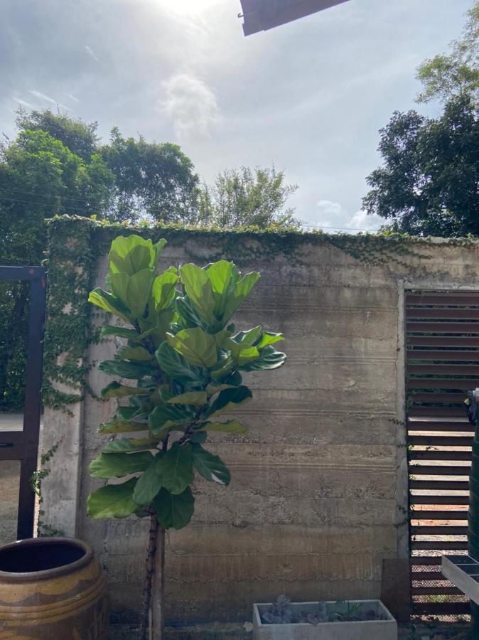Forest Guesthouse Ban Don Muang  Exteriör bild