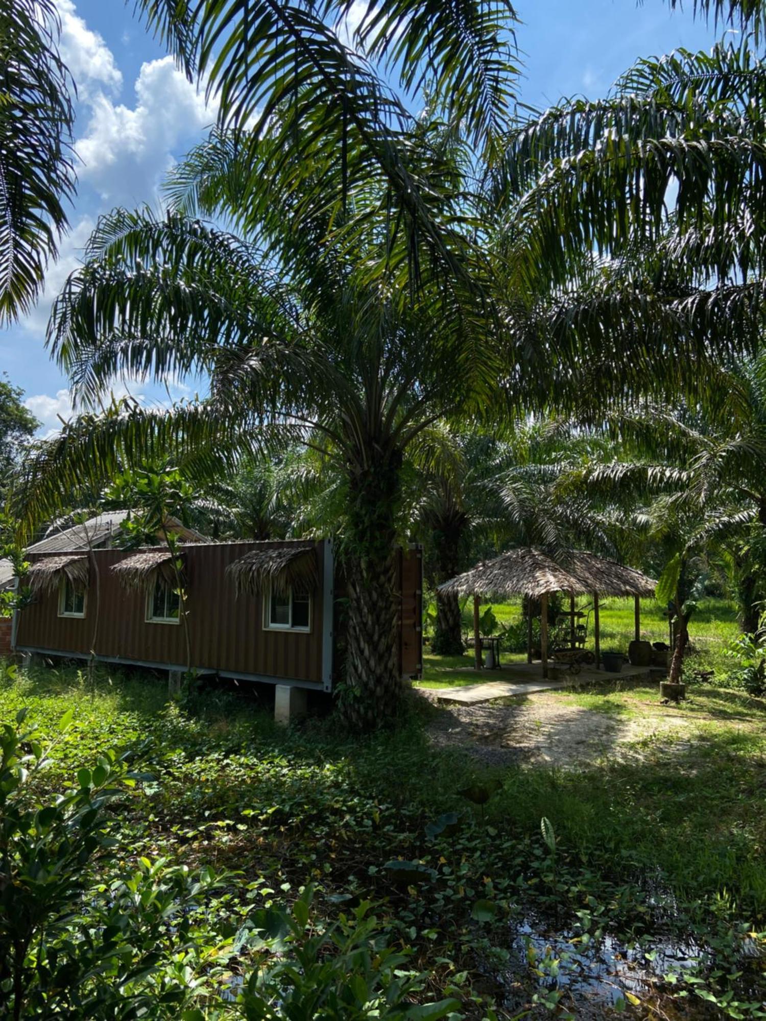 Forest Guesthouse Ban Don Muang  Exteriör bild